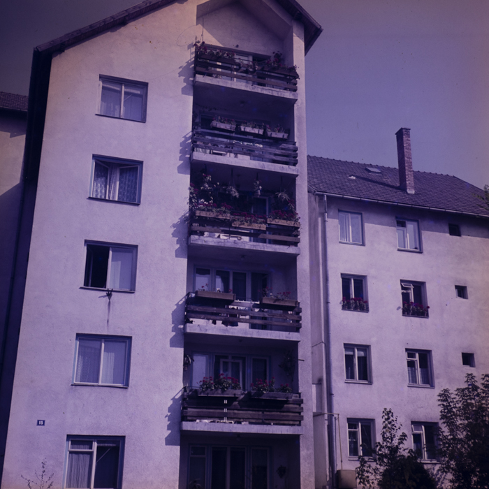 minerva_dn_1977_2425_aspecte_013