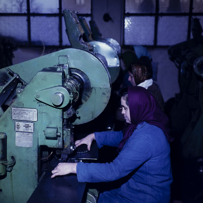 minerva_dn_19782370_reportaj_teius_002