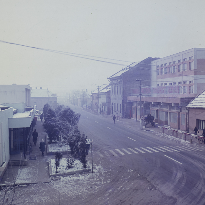 minerva_dn_19782370_reportaj_teius_007