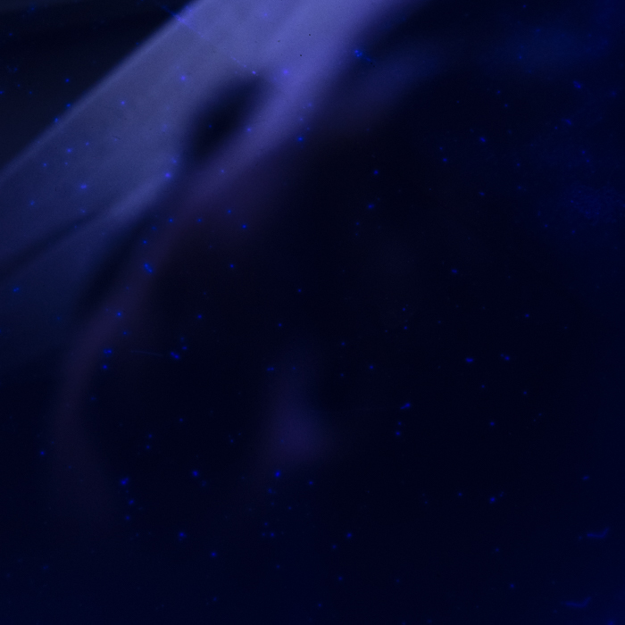 minerva_dn_19782370_reportaj_teius_008