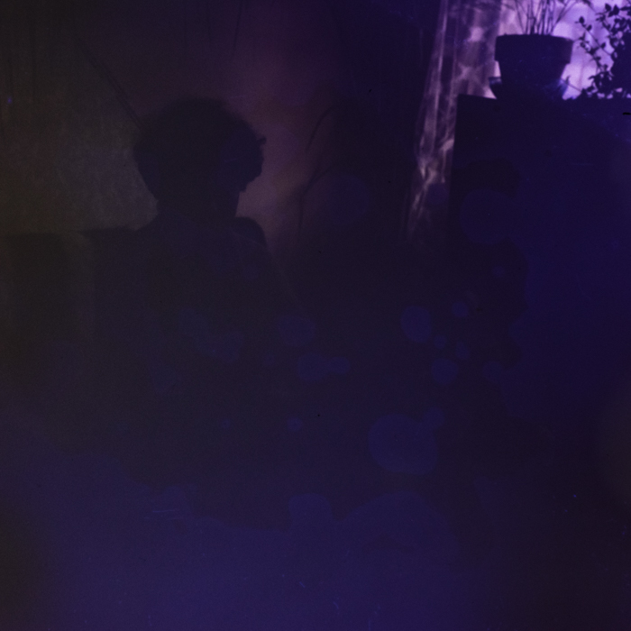 minerva_dn_1978_2299_flori_002