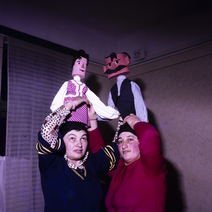 minerva_dn_1978_2301_com_dumbrava_timis_papusori_001