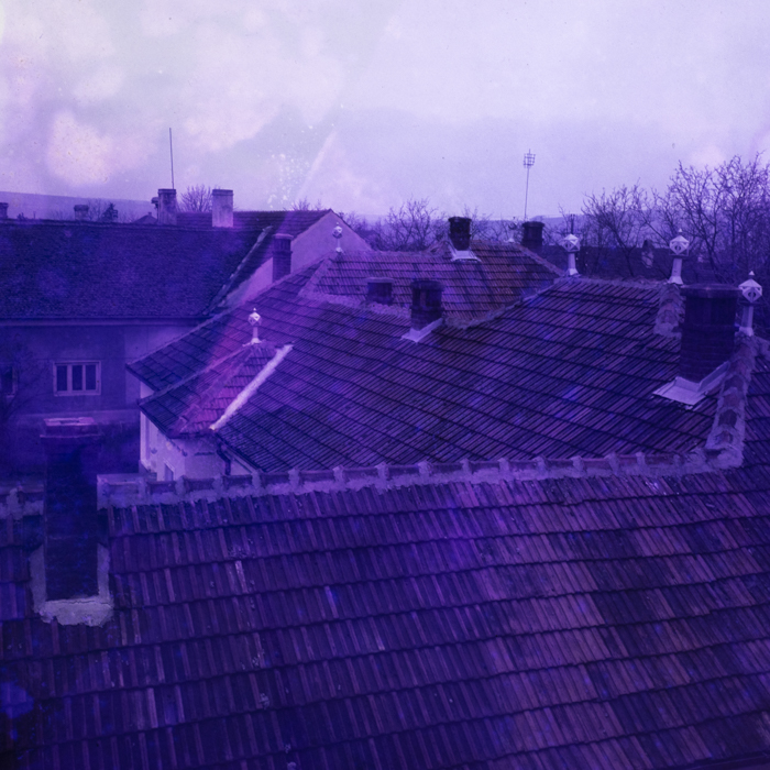 minerva_dn_1978_2306_aspecte_diosig_jud_bihor_001