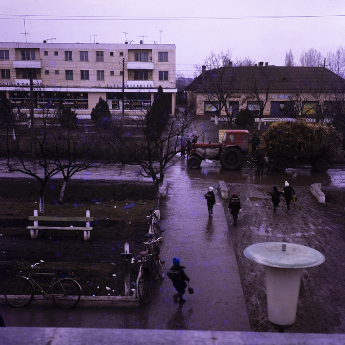 minerva_dn_1978_2306_aspecte_diosig_jud_bihor_002