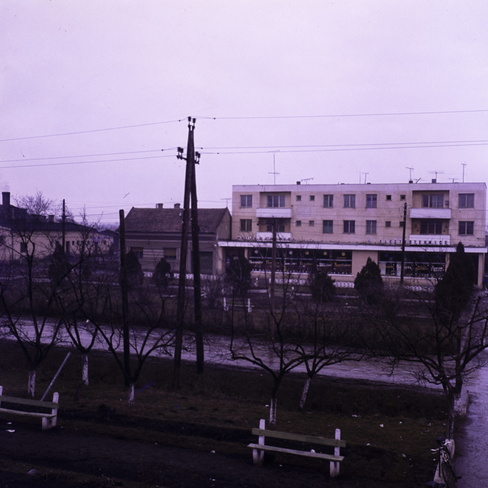 minerva_dn_1978_2306_aspecte_diosig_jud_bihor_003