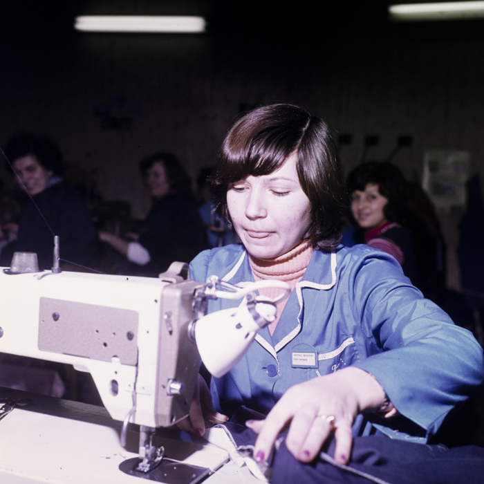 minerva_dn_1978_2306_aspecte_diosig_jud_bihor_004