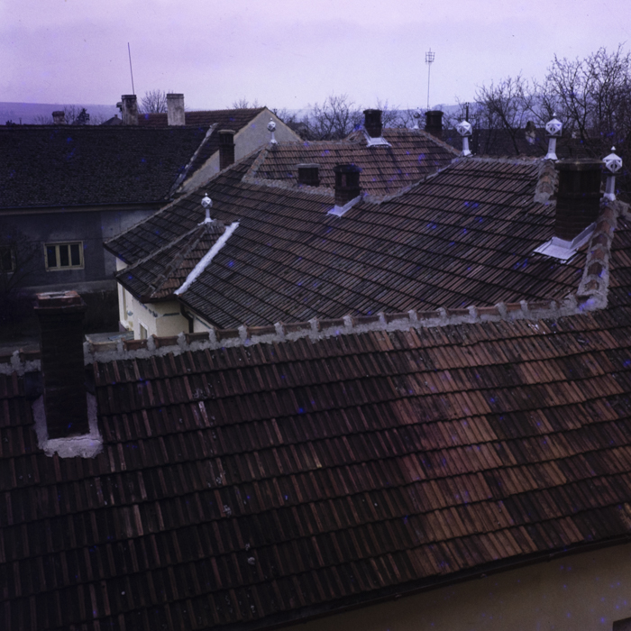 minerva_dn_1978_2306_aspecte_diosig_jud_bihor_009