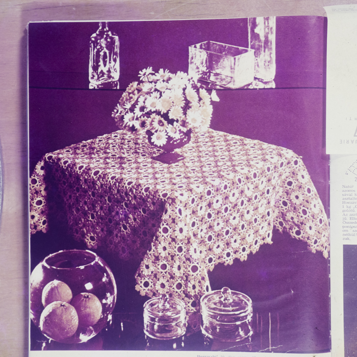 minerva_dn_1978_2307_reproduceri_018