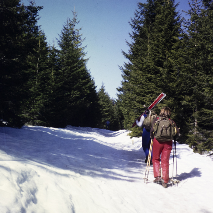 minerva_dn_1978_2308_aspecte_de_iarna_baisoara_012