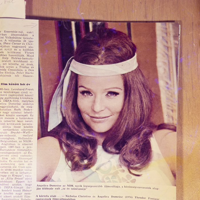 minerva_dn_1978_2316_reproduceri_001