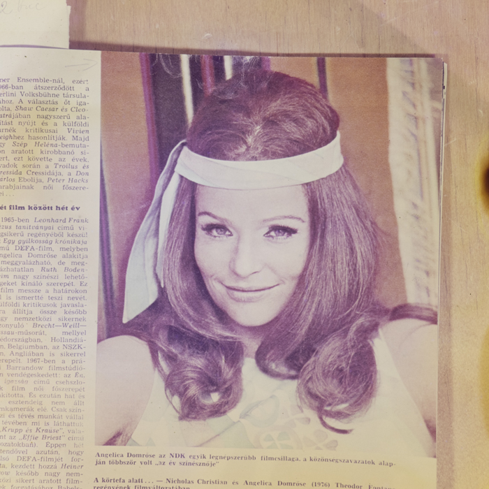 minerva_dn_1978_2316_reproduceri_002