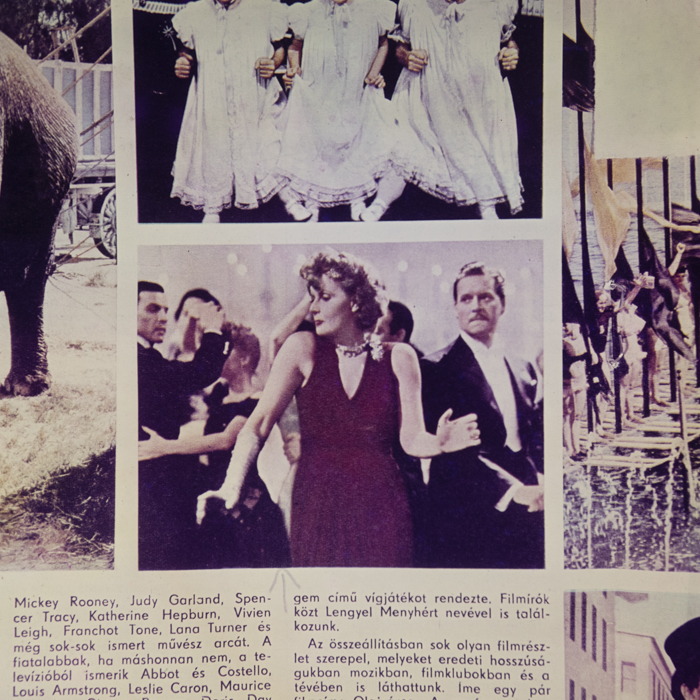 minerva_dn_1978_2316_reproduceri_005