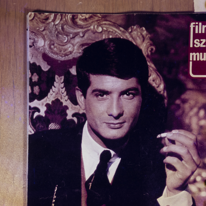 minerva_dn_1978_2316_reproduceri_010