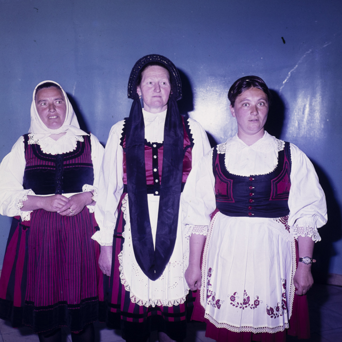 minerva_dn_1978_2317_conferinta_nationala_a_femeilor_020