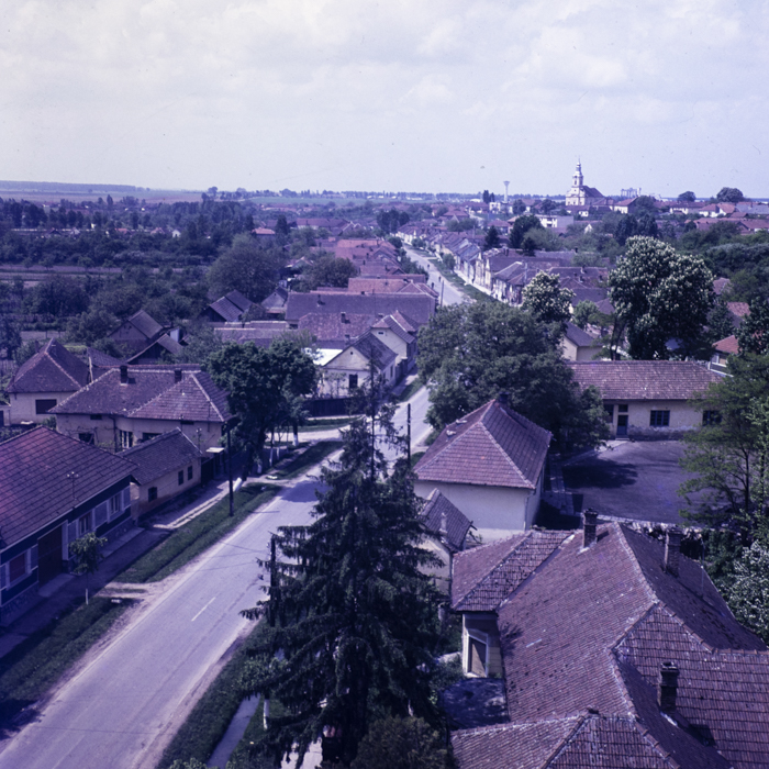 minerva_dn_1978_2320_comuna_tinca_001