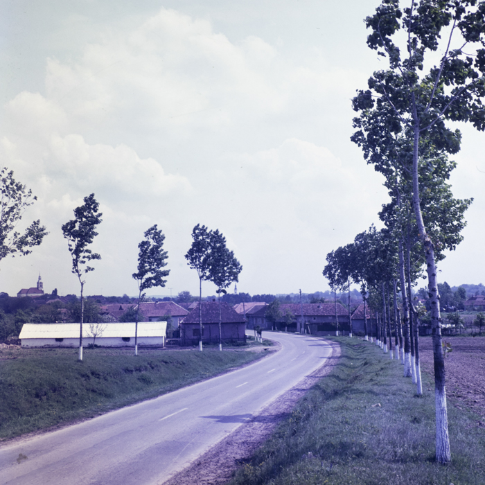 minerva_dn_1978_2320_comuna_tinca_002