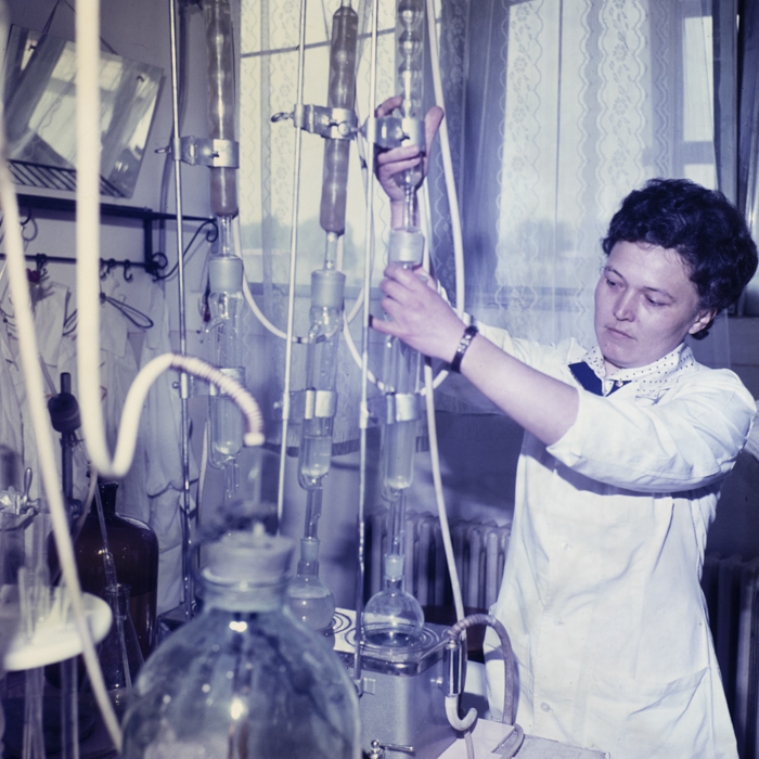 minerva_dn_1978_2320_comuna_tinca_003