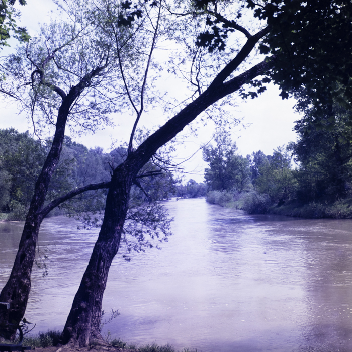 minerva_dn_1978_2320_comuna_tinca_004