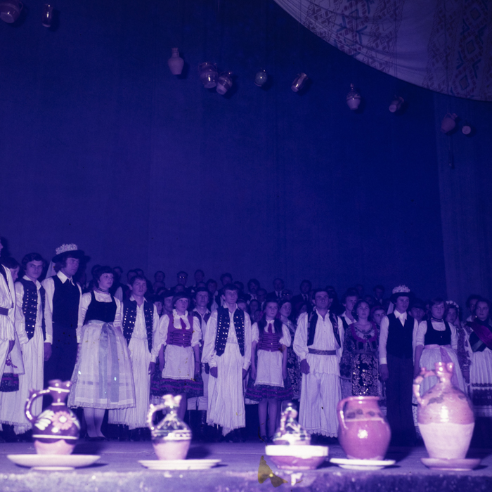 minerva_dn_1978_2321_primavara_001