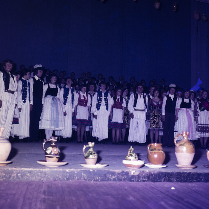 minerva_dn_1978_2321_primavara_002