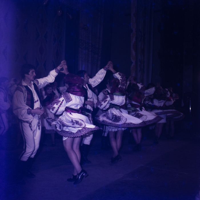 minerva_dn_1978_2321_primavara_004