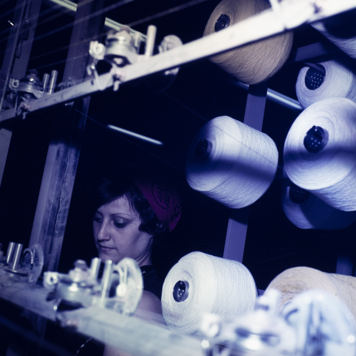 minerva_dn_1978_2322_u.t.a_arad_002