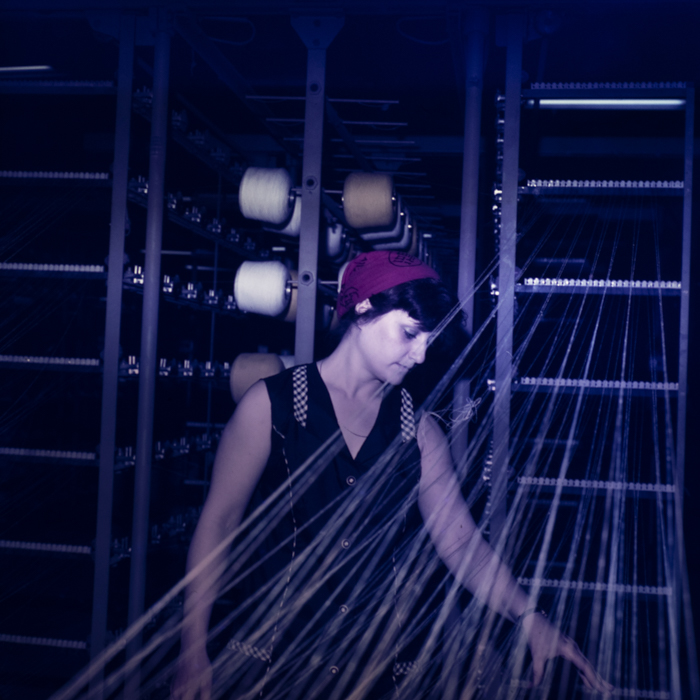 minerva_dn_1978_2322_u.t.a_arad_003