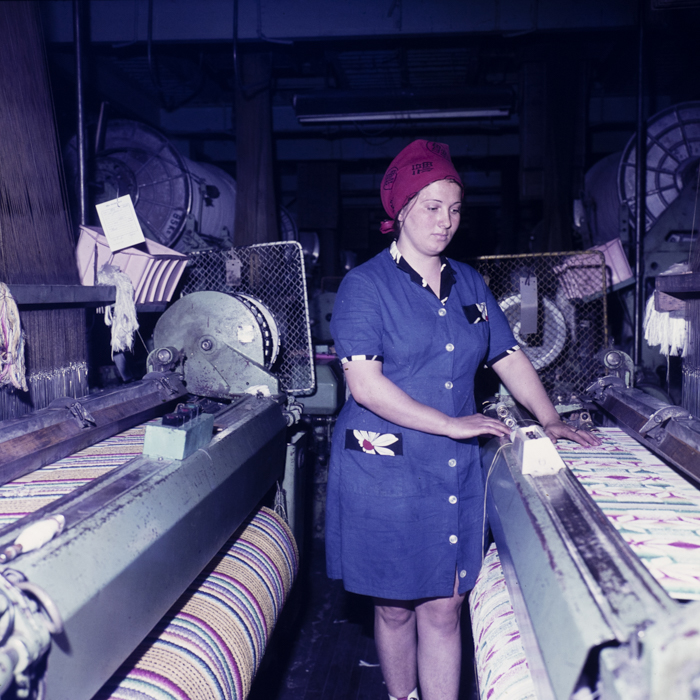 minerva_dn_1978_2322_u.t.a_arad_005