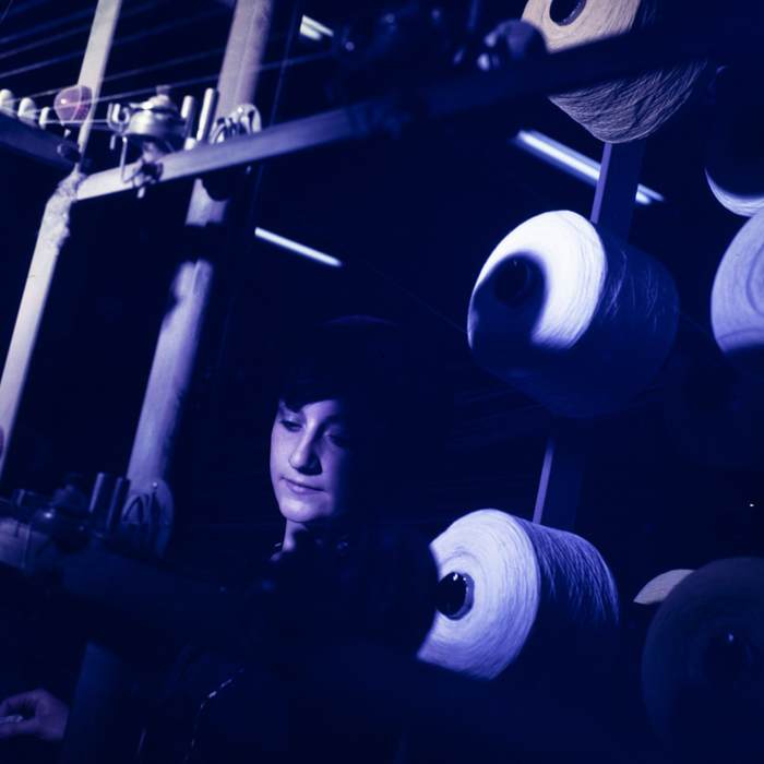 minerva_dn_1978_2322_u.t.a_arad_007