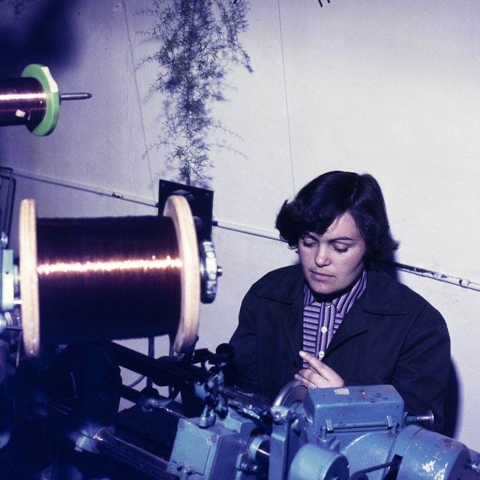 minerva_dn_1978_2323_steagul_001