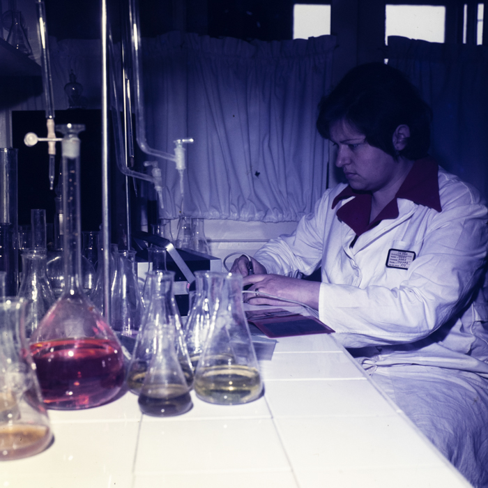 minerva_dn_1978_2323_steagul_002