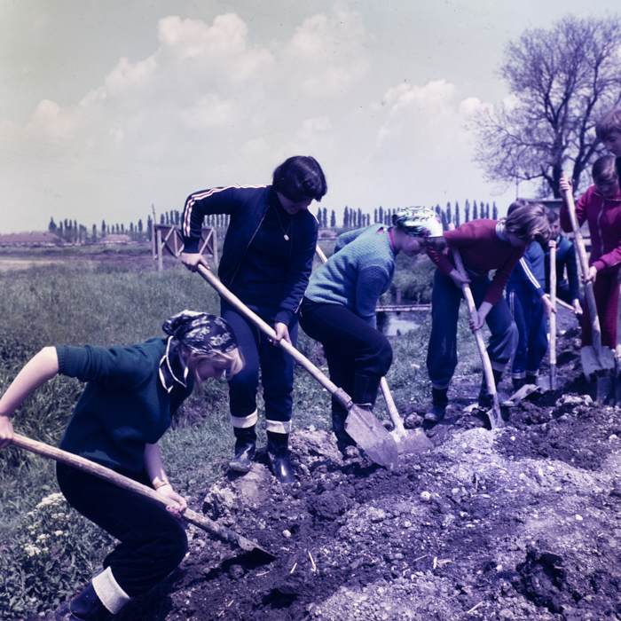 minerva_dn_1978_2326_tinere_005