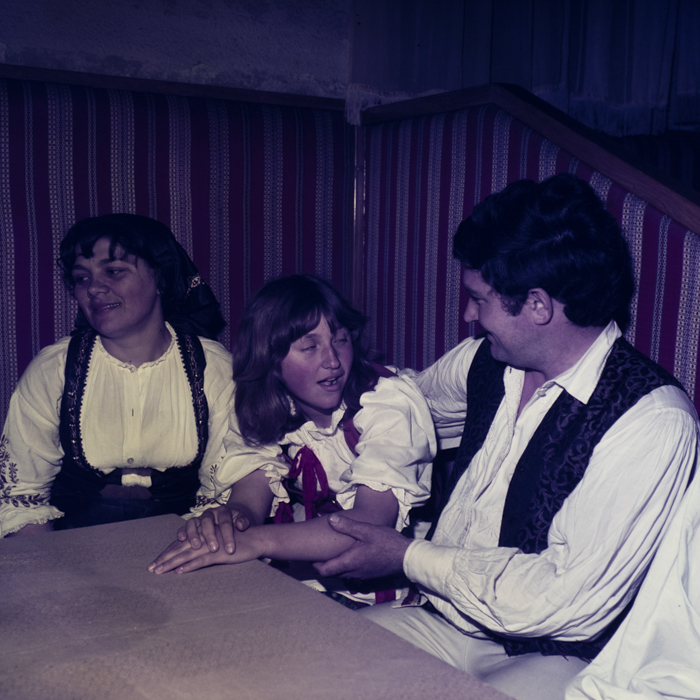 minerva_dn_1978_2327_comuna_pecica_004