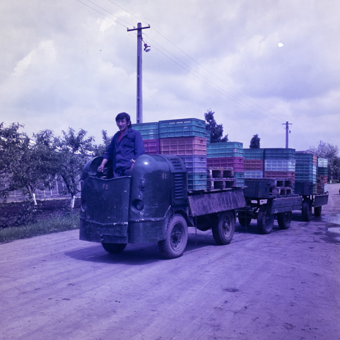 minerva_dn_1978_2329_sere_arad_002