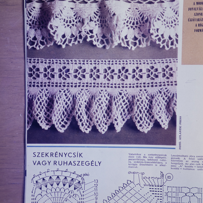 minerva_dn_1978_2334_reproduceri_001