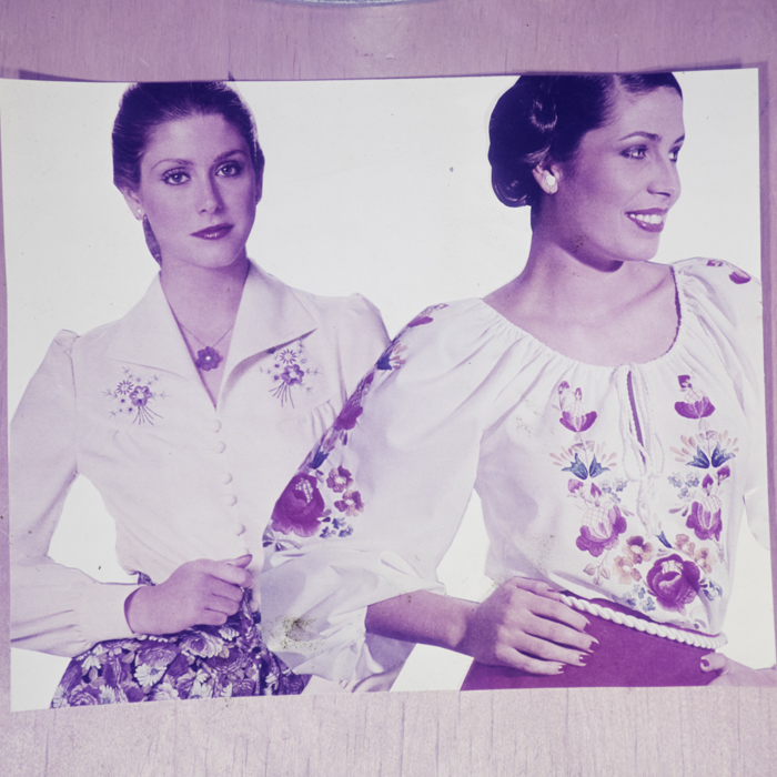 minerva_dn_1978_2334_reproduceri_002