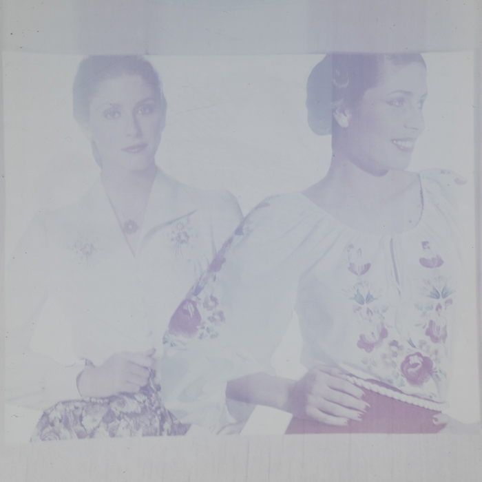 minerva_dn_1978_2334_reproduceri_005