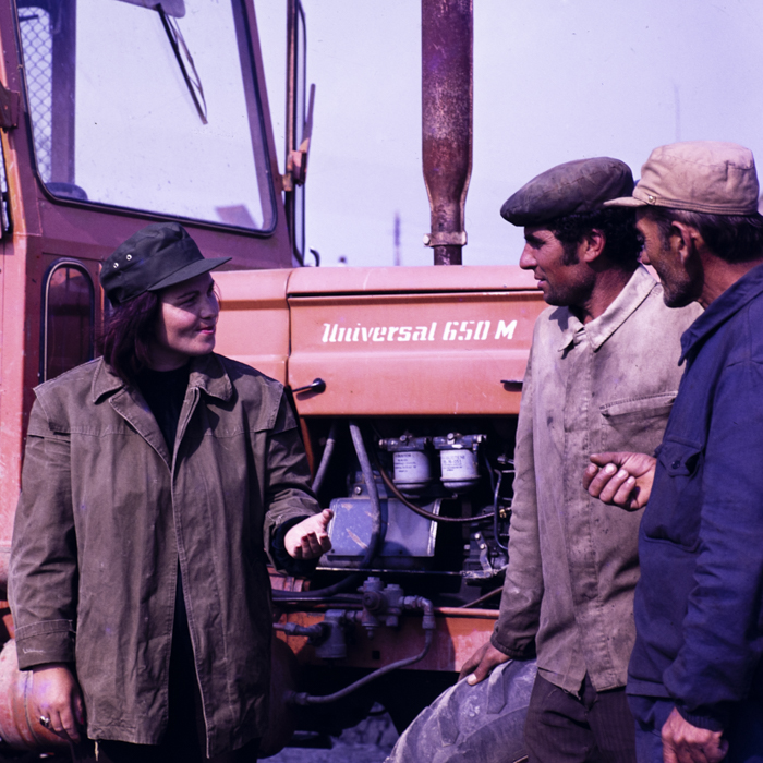 minerva_dn_1978_2337_insula_brailei_001