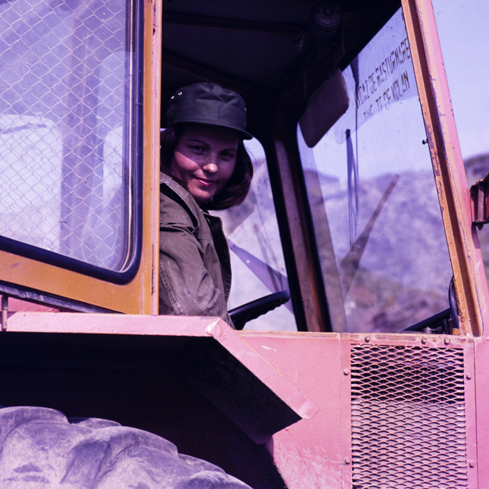 minerva_dn_1978_2337_insula_brailei_003