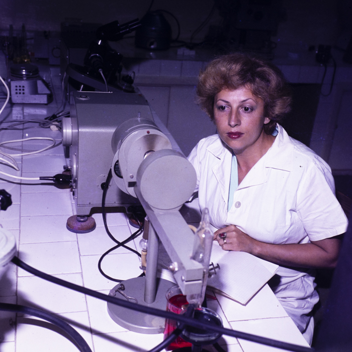 minerva_dn_1978_2348_fabrica_de_portelan_alba-iulia_001