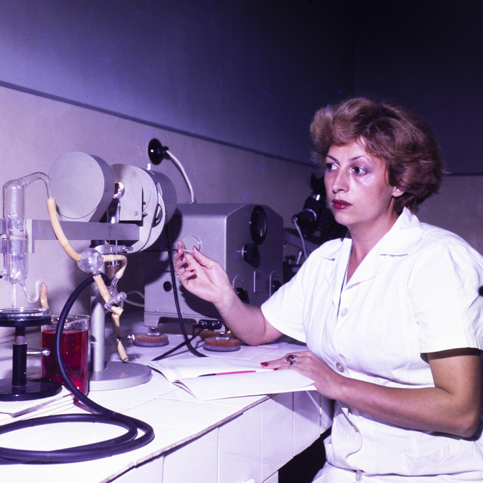 minerva_dn_1978_2348_fabrica_de_portelan_alba-iulia_003