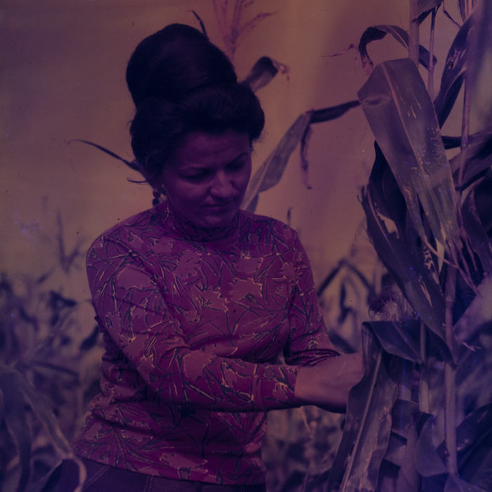 minerva_dn_1978_2352_C.A.P_turda_noua_001