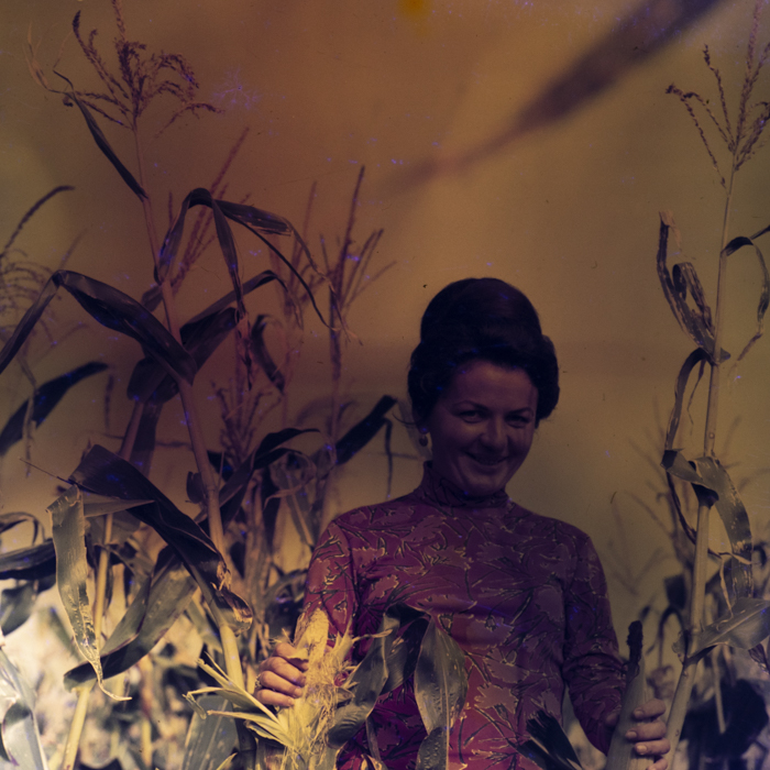 minerva_dn_1978_2352_C.A.P_turda_noua_003