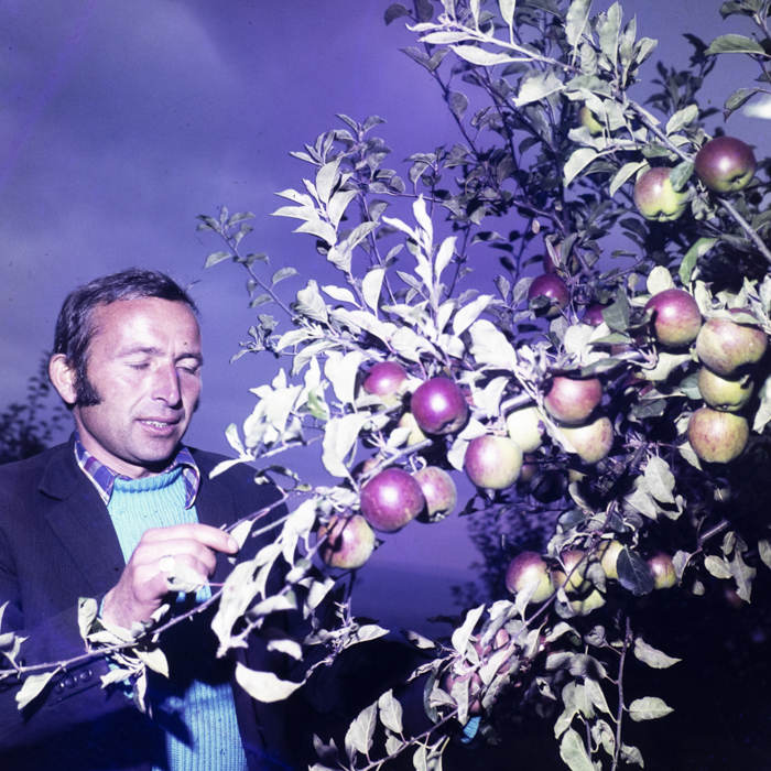 minerva_dn_1978_2352_C.A.P_turda_noua_005