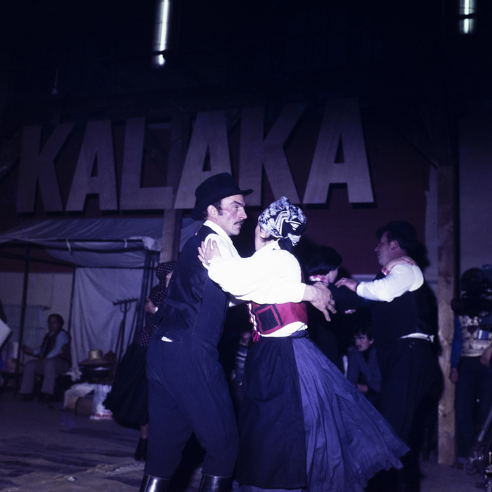 minerva_dn_1978_2358_kalaka_004