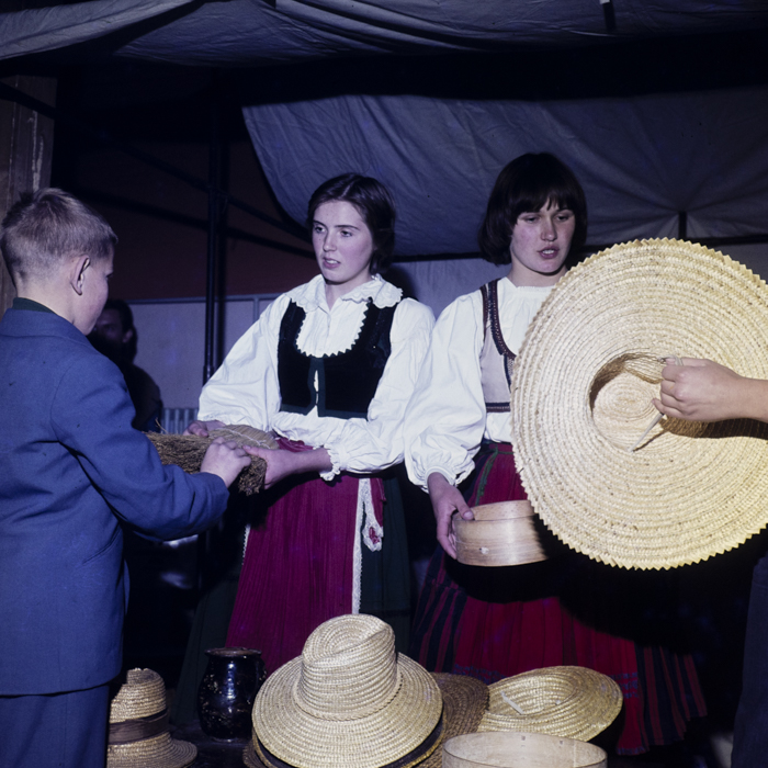 minerva_dn_1978_2358_kalaka_006