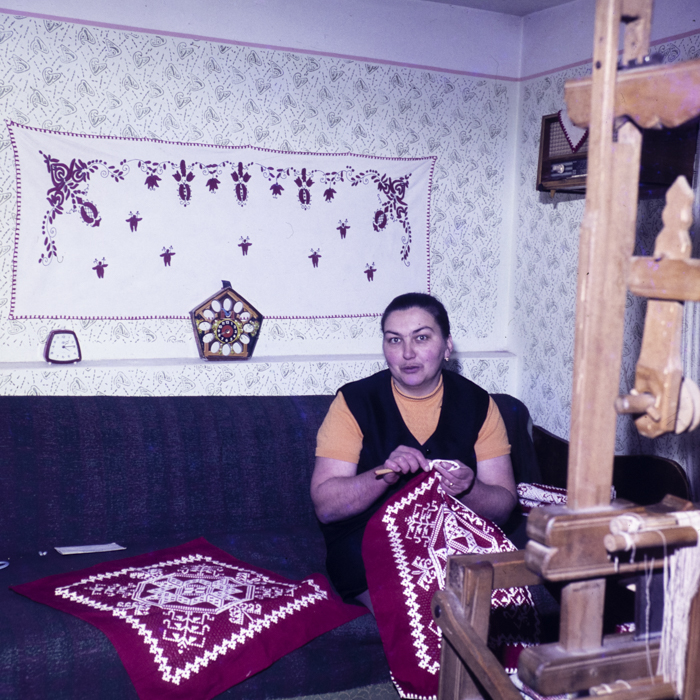 minerva_dn_1978_2359_C.A.P_lutita_001