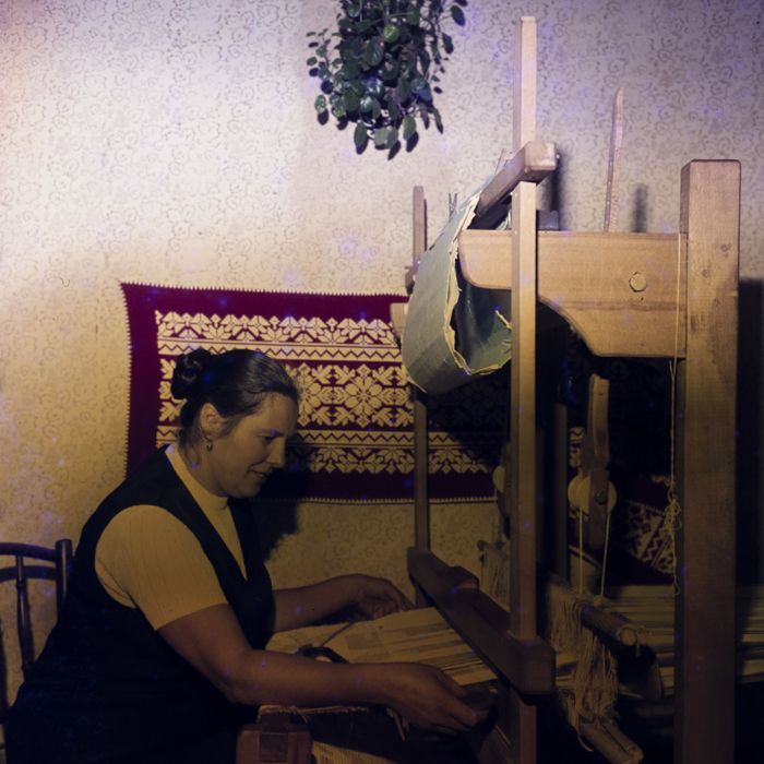 minerva_dn_1978_2359_C.A.P_lutita_002