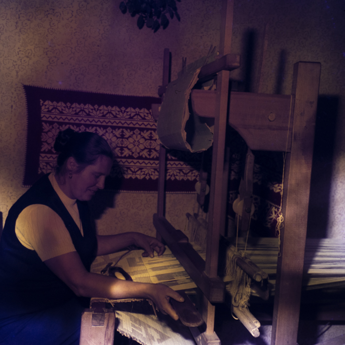 minerva_dn_1978_2359_C.A.P_lutita_004