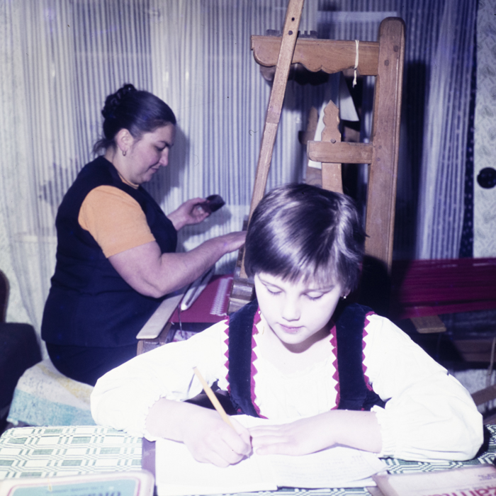 minerva_dn_1978_2359_C.A.P_lutita_005